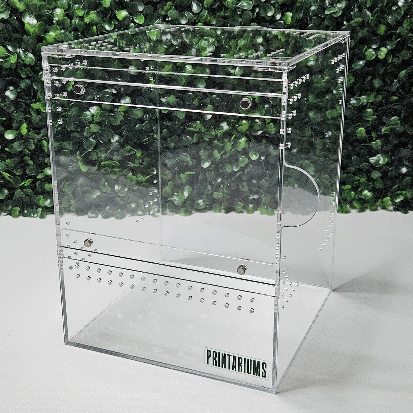 Arbo Series - 6x6x8''