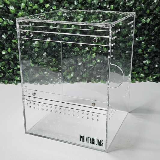 Arbo Series - 6x6x8'' (Coming Soon)