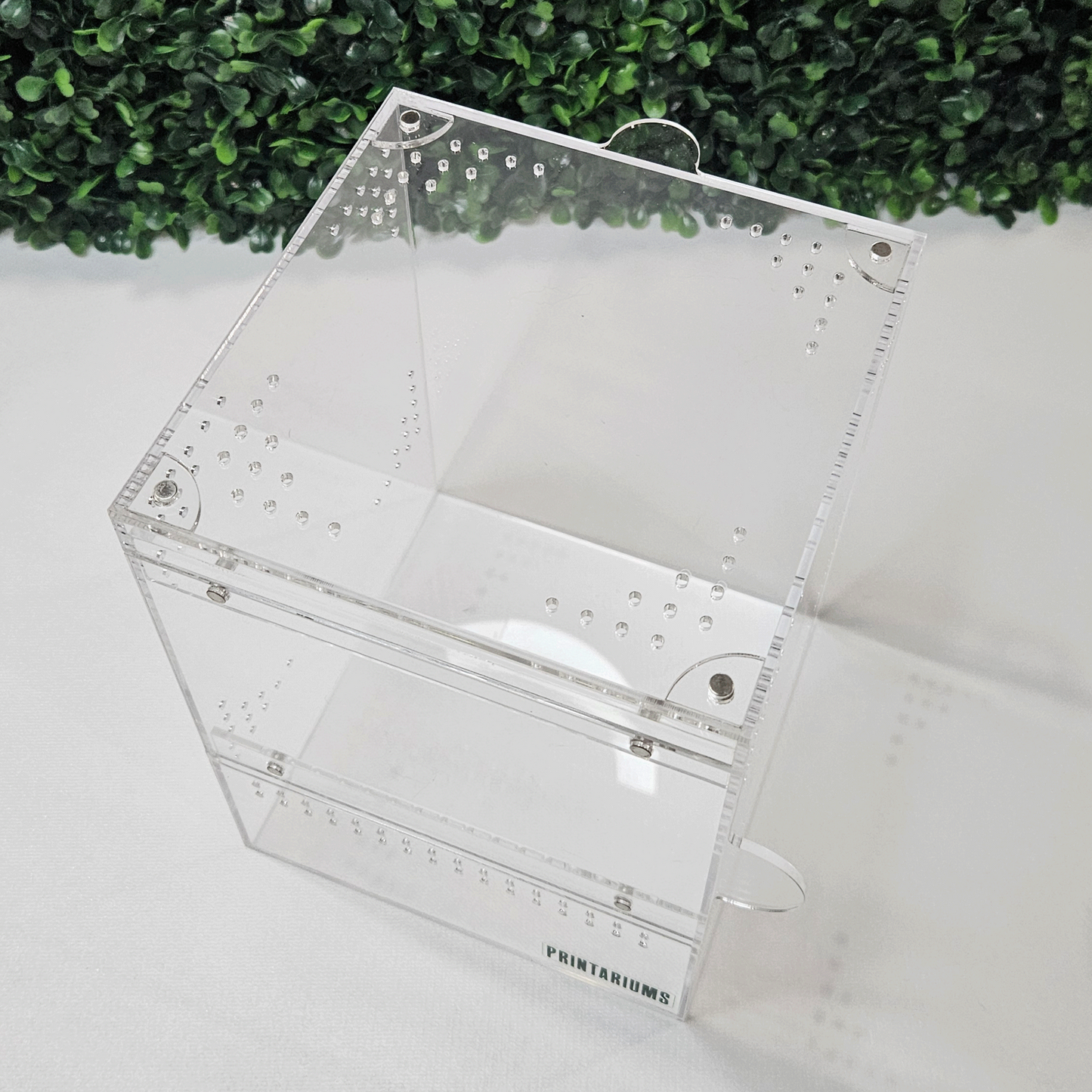 Arbo Series - 6x6x8''