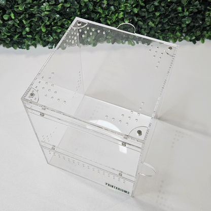 Arbo Series - 6x6x8''